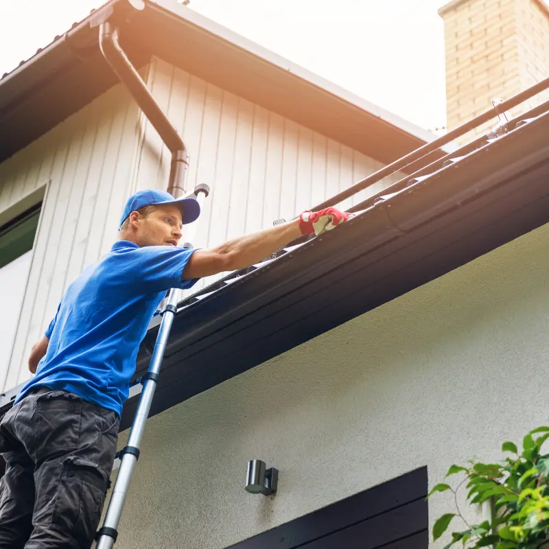 Professional gutter repair importance
